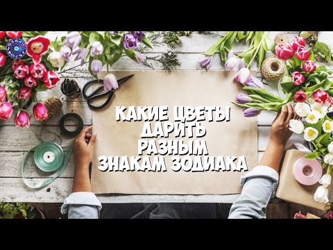 Какие цветы дарить разным знакам Зодиака