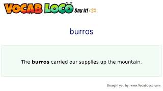 Video thumbnail for burros