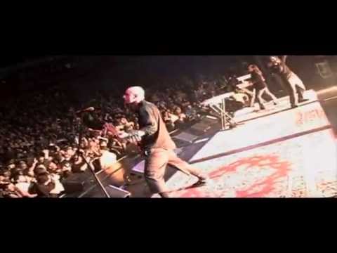 Pluck video
