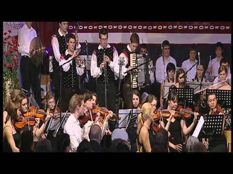 Spomin - Ansambel Saša Avsenika in Revijski orkester Gimnazije Kranj