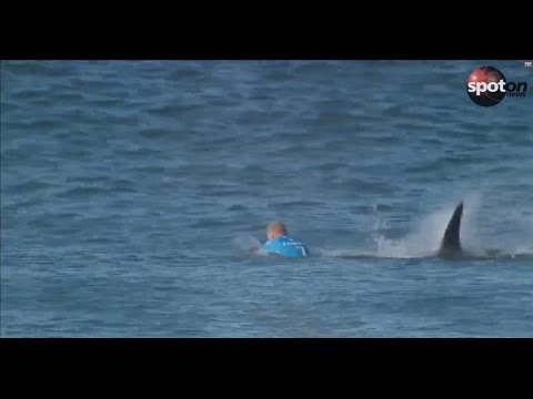 Spektakulärer Hai-Angriff auf Surf-Star Mick Fanning