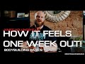 HOW IT FEELS ONE WEEK OUT - Bodybuilding Basics EP6 - James Hollingshead