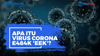 Apa Itu Virus Corona E484K 'Eek' yang Ditemukan di Jakarta?