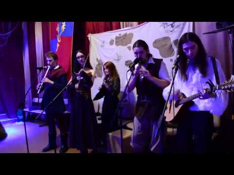 Skogenvard & Alina Gingertail - Jigs (Swallow Tail Jig, Morrison's Jig, Kesh Jig)