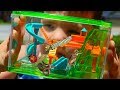 Caleb Pretend Play with REAL Bugs Playground For Insects with Fun and Crazy Kids Aubrey