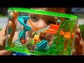 Caleb Pretend Play With REAL Bugs Playground For Insects With Fun And Crazy Kids Aubrey
