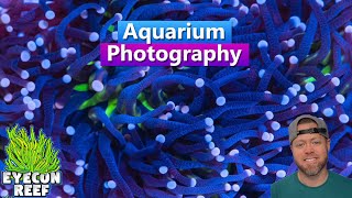 Aquarium Photography - Take better pics of your reef tank with EyeconReef