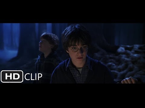 蜘蛛を追う|ハリー・ポッターと秘密の部屋 (Follow The Spiders | Harry Potter and the Chamber of Secrets)