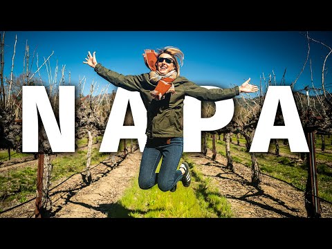 O guia do NAPA Valley e seus vinhos