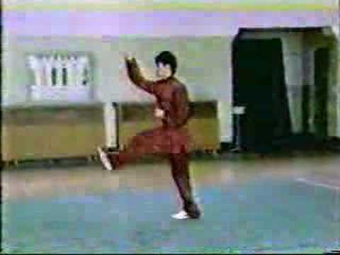 Xing Yi Quan - Wu Xing Lian Huan