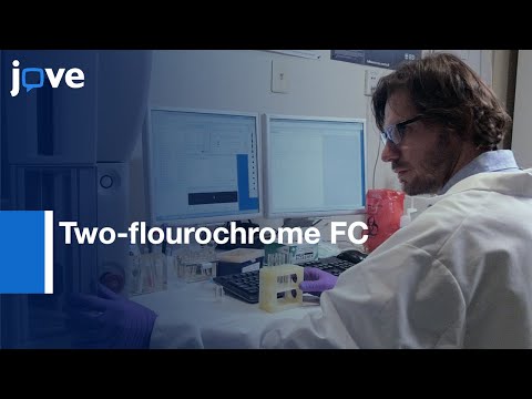 Two-flourochrome FC for Descrimination of Seven Immune Cells Subsets | Protocol Preview