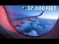 THE ONE BIRD CAPABLE OF FLYING NEXT TO ANY COMMERCIAL PLANE IN THE WORLD