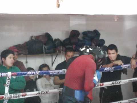 VENENO RUBIO(MAS QUE LISTO PARA EL CHAVES JR CMB