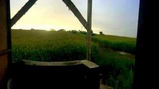 Home Brew - High Times (Outro) Instrumental Extended