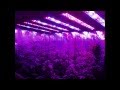 Young Thug - Stoner (CFCF Nightmusic Remix ...