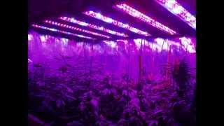 Young Thug - Stoner (CFCF Nightmusic Remix)