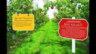 preview picture of video 'Islamabad orchards.wmv'