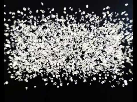 Paradiso - 28. marta otvaramo vrata raja