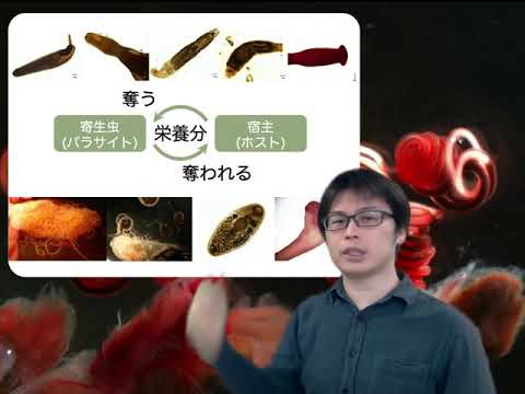 衛生動物学・同実習（2021）