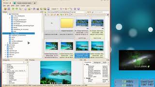 Linux Mint Basic Image Editing with XnViewMP or Pix or Kolourpaint