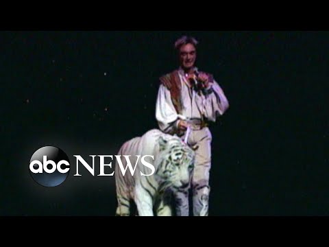 New allegations about onstage attack in Siegfried and Roy show