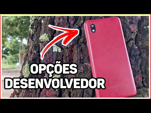 How to enable Developer MODE on GALAXY A01 Core