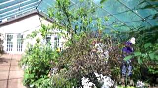 Meg Rodgers, Harpist at Sarett Nature Center