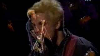 GREEN DAY FOD HIGH QUALITY