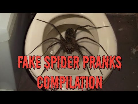 Fake Spider Pranks Compilation