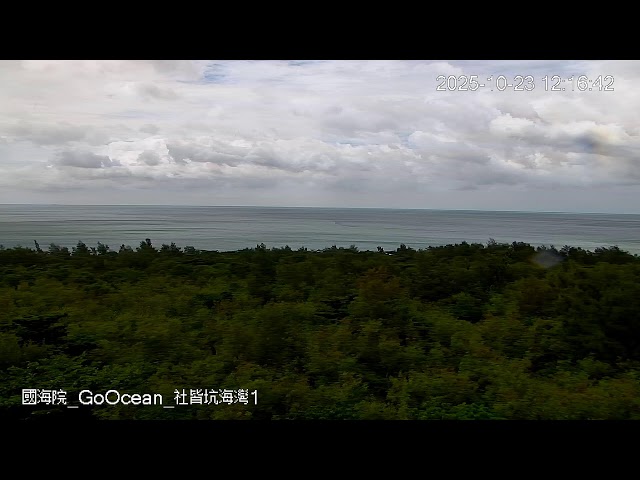 社皆坑海灣1