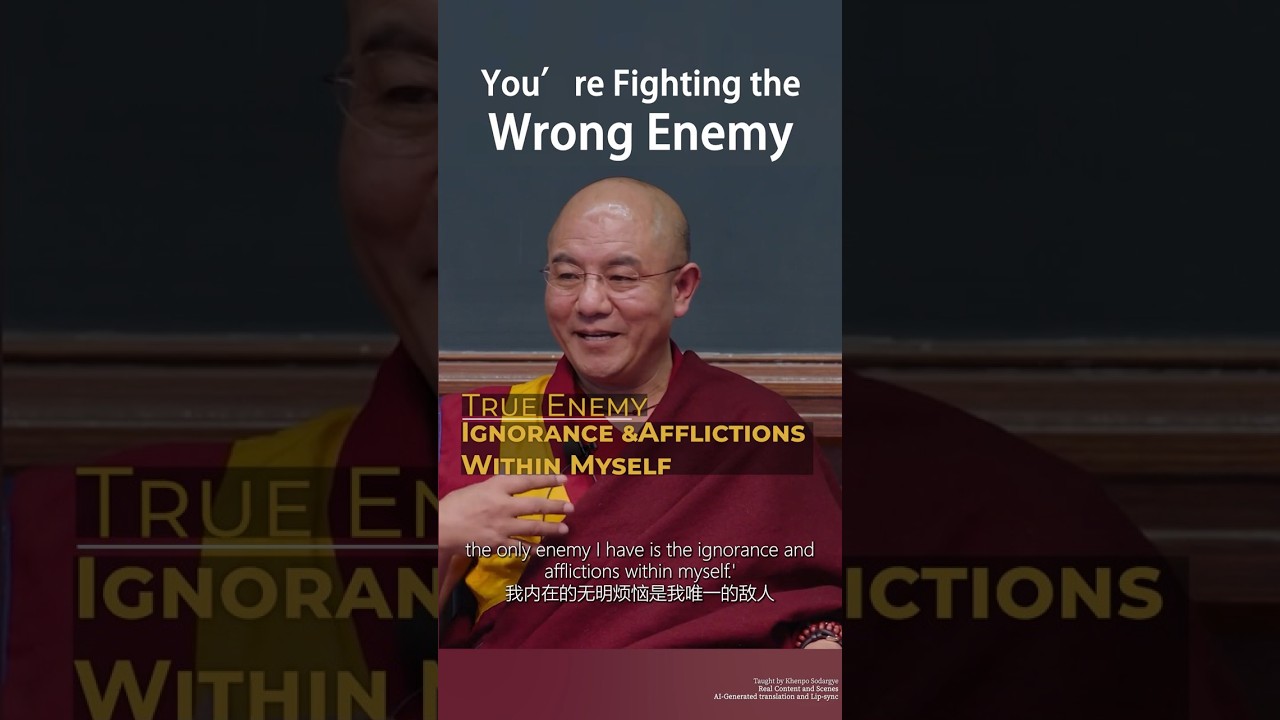 Your Only Real Enemy Lives Inside You （Khenpo Sodargye）