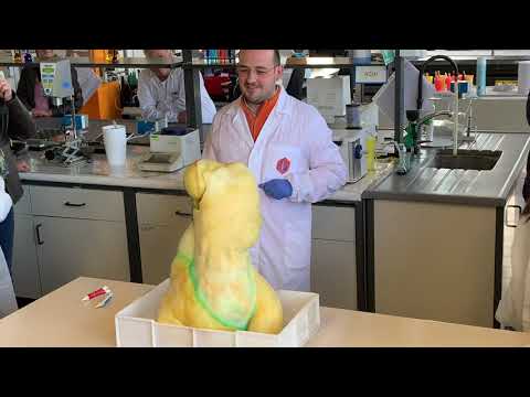 Un giorno da chimico in Lamberti