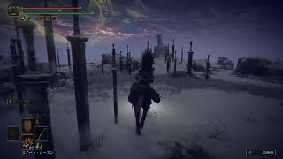 [完全初見]ノエデンリング　その16