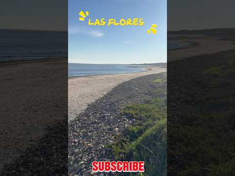 Playa del Balneario Las Flores. La Mira apunta a #piriapolis #piriápolis #maldonado #uruguay #short