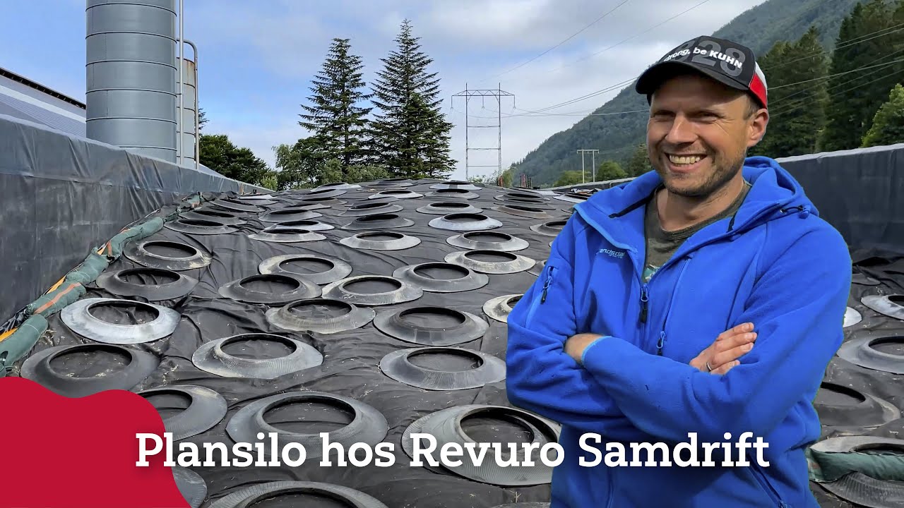 Effektiv fôrhåndtering med plansilo hos Revuro Samdrift