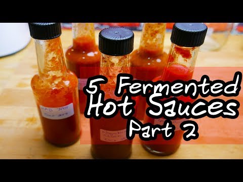 Fermenting some of the hottest peppers in the world! Part 2