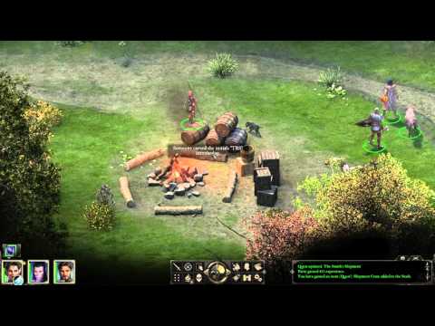 Pillars of Eternity - The White March Part II #1 walkthrough - The Smith's Shipment