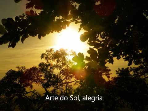 Arte do Sol - Sagrado Coração da Terra