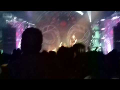 daydream festival puebla pue. Mexico