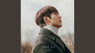 겨울을 걷다