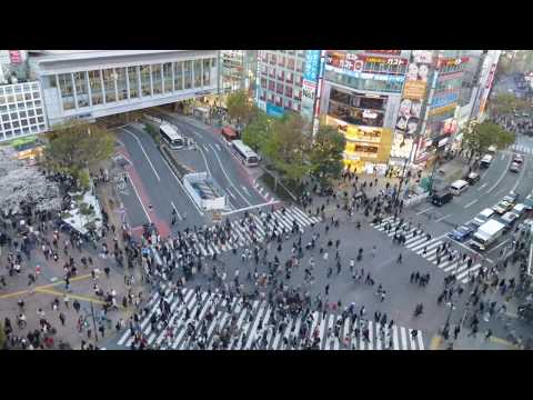 Tokyo's Famous Shibuya Crossing: The World's Busiest Intersection