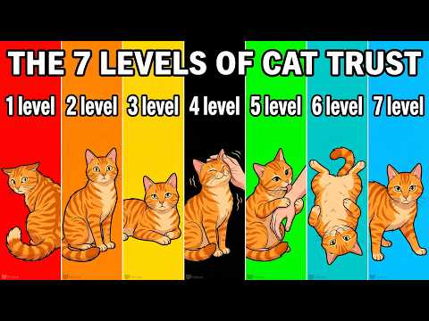 The 7 Levels of Cat Trust (Most Never Get Past Level 3)