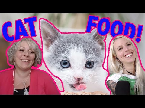 All Your Cat Food Questions: Answered!