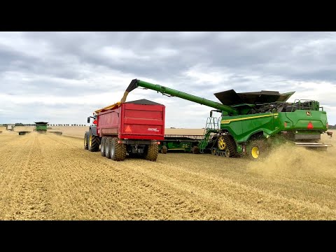 2X John Deere X9 1100 And 1X Claas Lexion 780 - High Efficiency Farming At Svenstorps Gods! (4K)