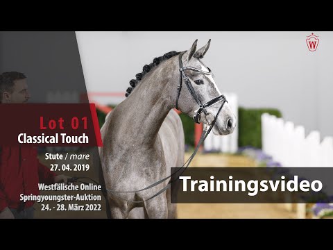 Springyoungster Auktion Training Lot 1 Classical Touch Sute v. Classico TN - Quality Time