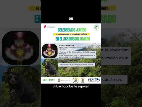 Biodiversidad, Andes y pueblos quechuas 🌿🌄#Runavision #Huancavelica #BosqueAmaru #Peru