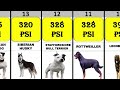 Top 25:Dog Bite Force PSI | Comparison
