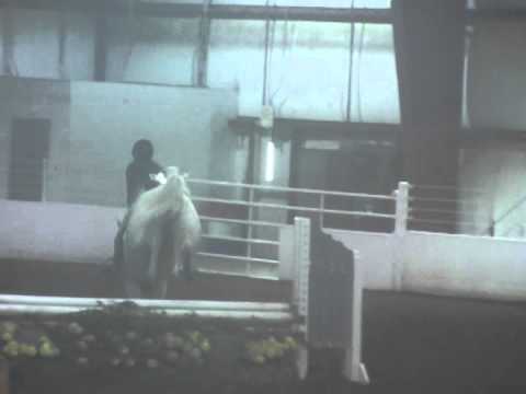 Illuminate - 3' Hunter - SOLD