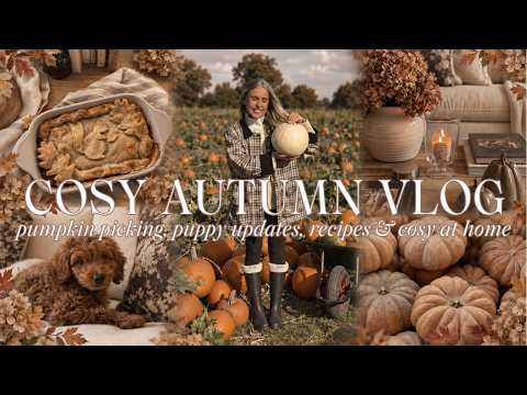 a cosy autumn day 🍂 pumpkin patch, wholesome recipes & autumn in rural england 