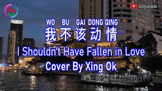Download lagu I Shouldn't Have Fallen in Love | Mandarin Song Cover mp3